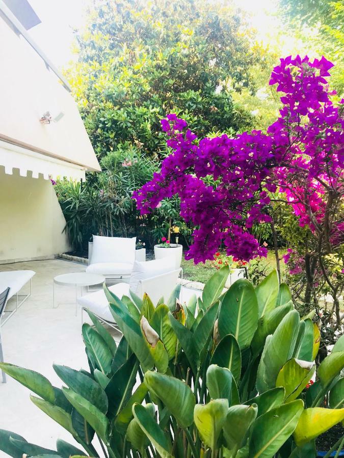 19 Rue Du Parc Alexandre III Appartement Cannes Buitenkant foto